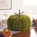 Primrue Faux 15" Moss Pumpkin Plastic | 11 H x 15 W x 15 D in | Wayfair 9ADB89709252420F896AD2AE4354821F