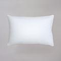 Oreiller en duvet blanc 50 x 75 cm