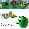 Mangeoire en plastique pour oiseaux mini bol à nourriture pour perroquet pigeons et oiseaux