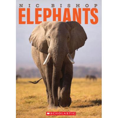 Nic Bishop Elephants (Hardcover) - Nic Bishop