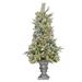4 ft. Frosted Colonial Fir Entrance Tree with Warm White LED Lights - 4 ft
