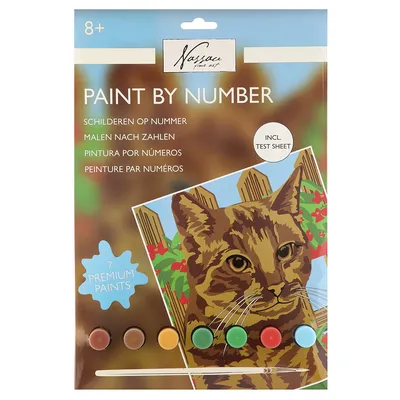 Kit peinture par numéros 