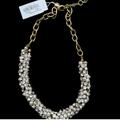 J. Crew Jewelry | J Crew Pearl And Crystal Statement Necklace New | Color: Gold/White | Size: Os