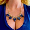 J. Crew Jewelry | J.Crew Navy And Crystal Chocker Necklace | Color: Blue/Gold | Size: Os