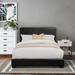 CDecor Home Furnishings Clara Standard Bed Upholstered/Faux leather in Black/Brown | 47 H x 62.75 W x 85 D in | Wayfair 300037Qi