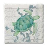 CounterArt Beach Therapy Turtle 1 Pack Single Absorbent Stone Coaster Stoneware, Glass in Blue | 0.25 H x 4 W x 0.25 D in | Wayfair 02-02622