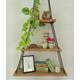 3 TIER HANGING SHELF, Triangular Hanging Shelf, Kitchen Herb Garden, Windowsill Garden, Bathroom Shelf, Indoor Planter, Nursery Shelf