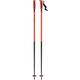 ATOMIC Redster Ski Poles - Length 110 cm - Reliable Aluminium Ski Poles - Ergonomic Handle on Pole Ski Poles for Racers - Poles with 60 mm Piste Plate