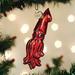 Old World Christmas Old World Hanging Figurine Ornament Glass in Red | 5 H x 2 W x 2 D in | Wayfair 12600