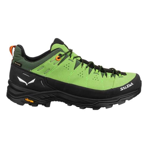 Salewa Herren Alp Trainer 2 GTX grün 44.0