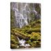 Loon Peak® 'Proxy Falls Oregon 8' by Cody York Photographic Print on Wrapped Canvas in Brown/Green/White | 18 H x 12 W x 2 D in | Wayfair