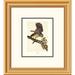 Global Gallery Barred Owl by John James Audubon Framed Painting Print Plastic/Metal in Green | 34 W x 1.5 D in | Wayfair DPF-132750-0810-102