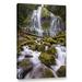 Loon Peak® 'Proxy Falls Oregon 5' By Cody York Photographic Print on Wrapped Canvas in Brown/Green/White | 2 D in | Wayfair LNPK2657 34748669