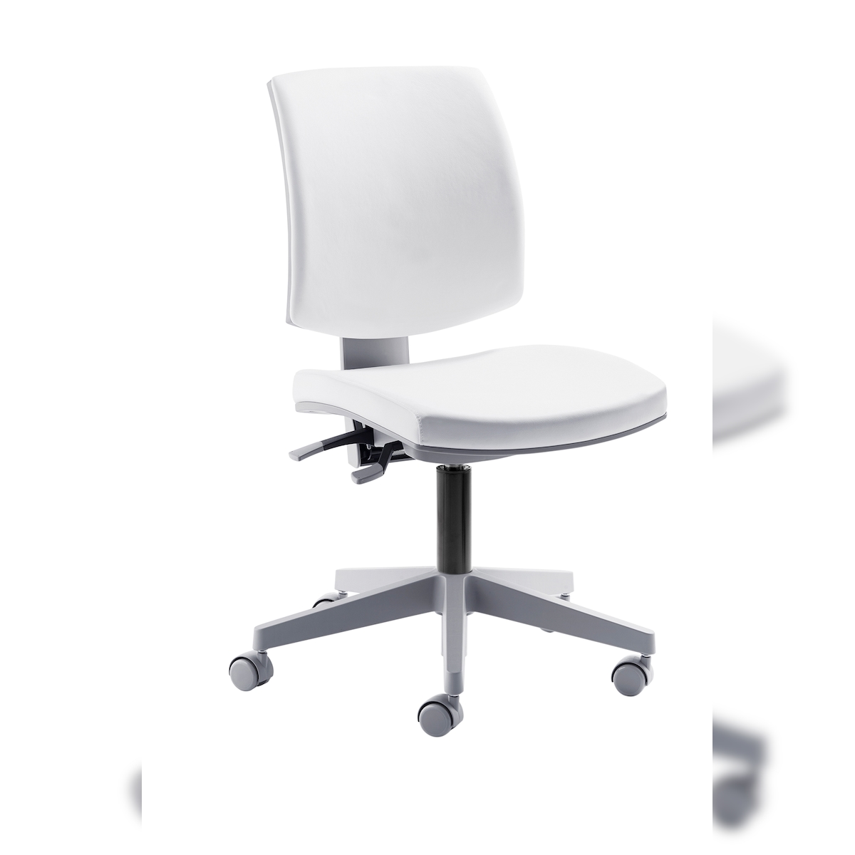 Mayer Sitzmöbel, Drehstuhl 2432SO, Polarweiß, 2432_SO_30582 Image