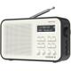 DAB DAB+ FM Digital Radio, Portable, Dual Alarm, Battery & Mains, AUX, Headphone, 60 Presets, Sleep timer (AZATOM Desire X Black)