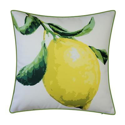New York Botanical Garden® Indoor/Outdoor Oversized Lemon Decorative Throw Pillow 20X20, Leaf Multi by Edie@Home in Leaf Multi