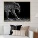 Ebern Designs Leopard In Black & White - Traditional Canvas Wall Decor Metal in Black/White | 16 H x 32 W x 1 D in | Wayfair