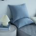 Ebern Designs Set of 2 Ahadpour Plain Weave Pillowcase Microfiber/Polyester | 36" x 20" | Wayfair 5B4DAFBABAA740B19621B15AA256A9A8