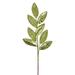 Vickerman 704684 - 27.5" Artificial Lime Metal Leaf Glitter Spray (3 Pack) (RG220773)