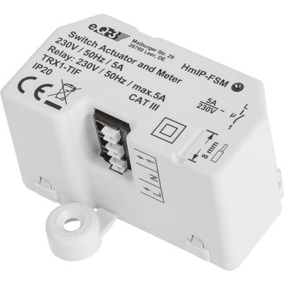 Schalt-Mess-Aktor - Unterputz HmIP-FSM - Homematic Ip Image