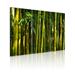 Bayou Breeze Green Bamboo - 3 Piece Wrapped Canvas Photograph Canvas in Green/Yellow | 15.7 H x 23.6 W x 1.5 D in | Wayfair