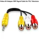 Câble adaptateur vidéo AV pour téléviseur TCL 3.5mm vers 3 RCA coordinateur vidéo rouge blanc