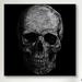 Wade Logan® Albree Modern Skull Fibers Graphic Art on Canvas in Gray | 37 H x 37 W x 1.5 D in | Wayfair MA178-1PC6-37x37