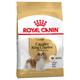 3kg Adult Cavalier King Charles Royal Canin Breed - Croquettes pour chien