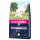 3kg Eukanuba Puppy Small Breed poulet - Croquettes pour chien