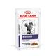 48x85g Royal Canin Expert Neutered Balance en sauce - Pâtée pour chat