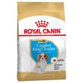 3x1,5kg Cavalier King Charles Puppy/Junior Royal Canin - Croquettes pour Chien