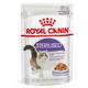 48x85g Sterilised en gelée Royal Canin - Pâtée pour chat