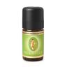Sandelholz ÖL ätherisch neukaledonisch Bio 5 ml Ätherisches Öl