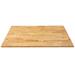 Loon Peak® Clorice Butcher Block Workbench Top Wood in Brown | 50 H x 25 W x 1.5 D in | Wayfair 9C3429E2B9704D1C877757DF130192CC