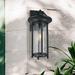 Breakwater Bay Ruka Black 1 - Bulb 16.5" H Integrated LED Seeded Glass Outdoor Wall Lantern Glass/Metal/Steel in Black/Gray | Wayfair