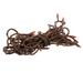 The Holiday Aisle® Non-Rectified Christmas 50 Light String Lights in Brown/Red | 1 H x 1 W x 300 D in | Wayfair 0B75CB2093B243C8B5635F87AF7857A7