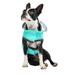 Neon Aqua with Iridescent Reversible Dog Raincoat, X-Small, Blue