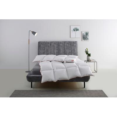 Daunenbettdecke RIBECO "Richard, Bettdecken für Sommer oder Winter, Made in Germany", weiß, B:155cm L:220cm, Bezug: 100% Baumwolle. Füllung: 90% Entendaune, 10% Entenfeder, Bettdecken, Bettdecke 135x200 cm, 155x220 cm und weitere Größen, Decke Image