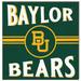 Baylor Bears 10'' x Retro Team Sign