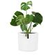 Fox & Fern Plant Pot, Large Plant Pots for Indoor & Outdoor, UV & Frost Resistant Plant Vase with Drainage Plug, Fiberstone, Large Indoor Pots for Plants & Flowers, House Indoor Plant Pot, Single Pot