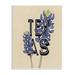 Stupell Industries Texas State Flower Bluebonnet Plant Sprigs Typography Wall Plaque Art By Daphne Polselli in Blue/Brown | Wayfair an-412_wd_10x15