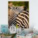 Ebern Designs African Zebra Photo Portrait - Graphic Art on Canvas Metal in Black/Gray/Red | 32 H x 16 W x 1 D in | Wayfair