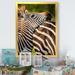 Ebern Designs African Zebra Photo Portrait - Graphic Art on Canvas Metal in Black/Gray/Red | 40 H x 30 W x 1.5 D in | Wayfair