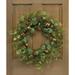 The Holiday Aisle® Sleigh Bell 22" Pinecones Wreath in Green/Yellow | 22 H x 22 W x 5 D in | Wayfair EC96D745836A47D78818138AB50205EC