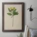August Grove® Pretty Pressed Flowers II Premium Framed Canvas- Ready To Hang Canvas in Green | 20 H x 16 W x 2.5 D in | Wayfair