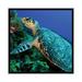 East Urban Home A Feeding Hawksbill Sea Turtle by Brent Barnes - Gallery-Wrapped Canvas Giclee Print Canvas, Cotton in Gray | 37 W in | Wayfair