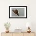 East Urban Home 'Bald Eagle Swooping in for a Catch, Homer, Alaska, USA' Photographic Print on Canvas Metal in Brown/Gray | Wayfair