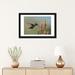 East Urban Home Magnificent Hummingbird Male Foraging, Costa Rica by Tim Fitzharris - Wrapped Canvas Graphic Art Print Paper | Wayfair