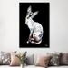 East Urban Home 'Larry, Black Background' Print on Canvas in Black/Blue/Gray | 48" H x 32" W x 1.5" D | Wayfair 649122AB073B45869EA2F43311259D9F