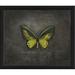 Spicher & Co Ornithoptera Goliath Supremus on Green/Black/Yellow by Kolene Spicher - Painting Paper in Black/Green/Yellow | Wayfair 28950